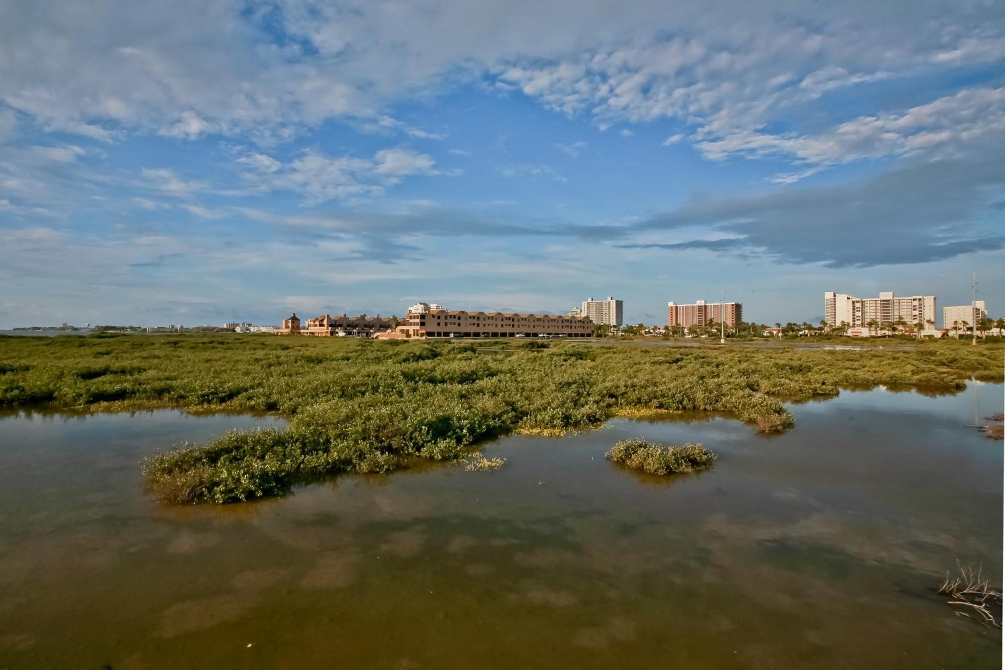 Suntide III Condominiums South Padre Island Habitación foto